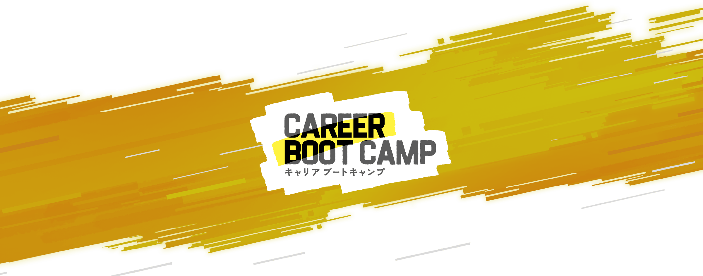 CAREER BOOT CAMP